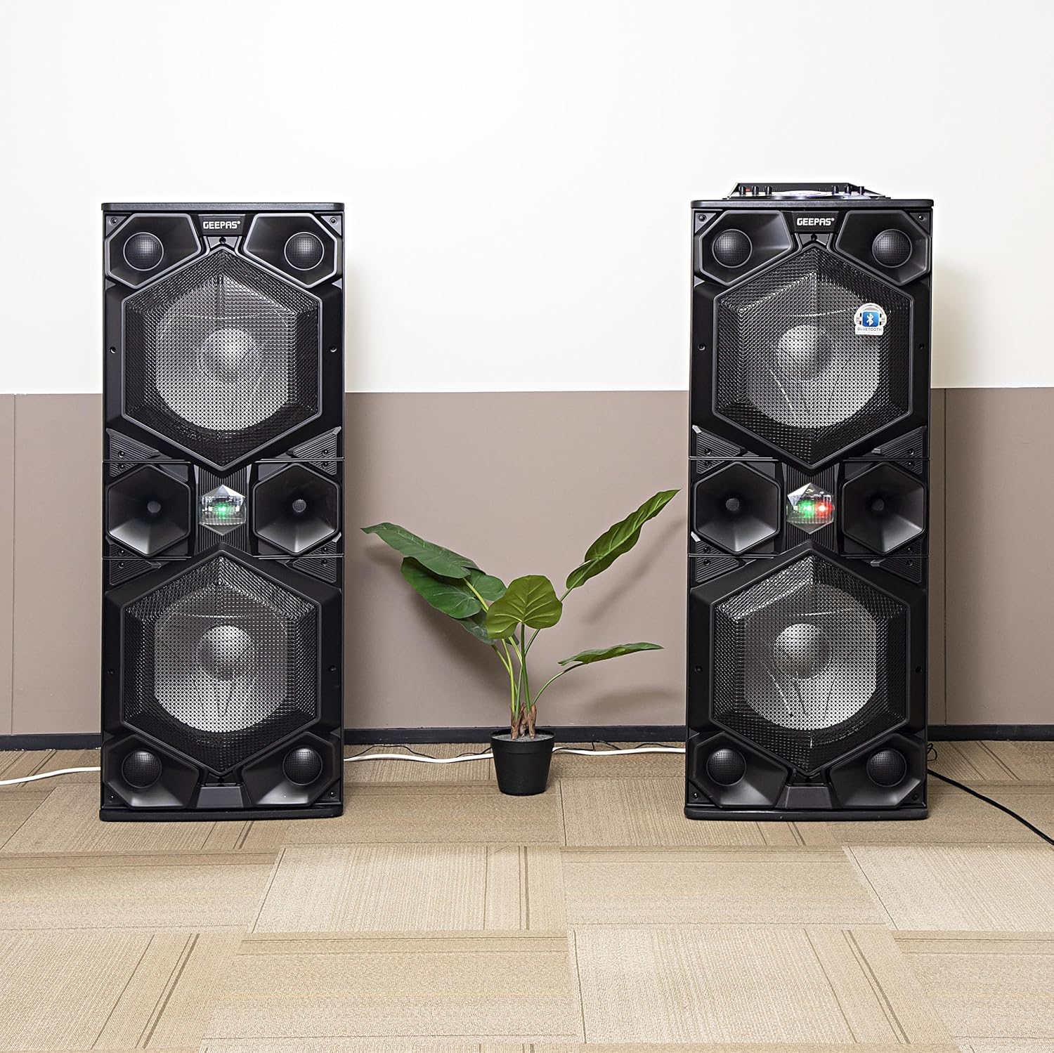 Geepas GMS8569| պրոֆեսիոնալ բարձրախոս