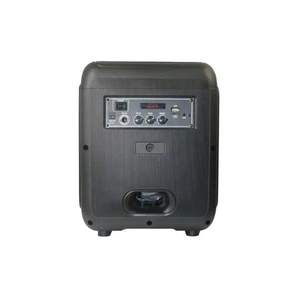 BTS-1739 Bluetooth կարաոկե բարձրախոս