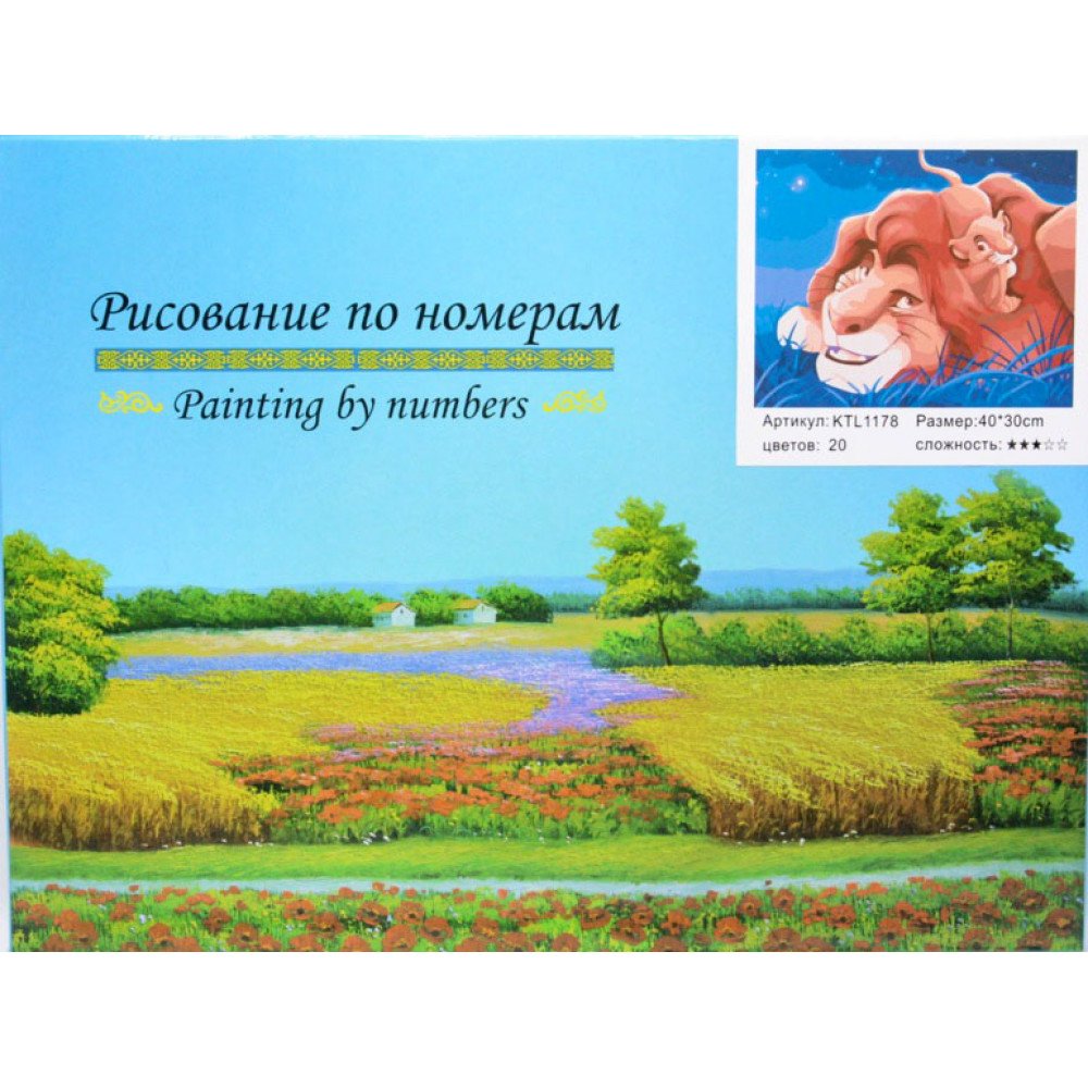 Նկարչություն ըստ համարների 40x30սմ