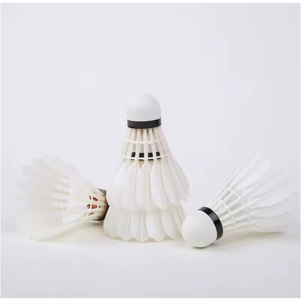 Բադմինտոնի վալան 12հ-ոց տուփով, փետուրե