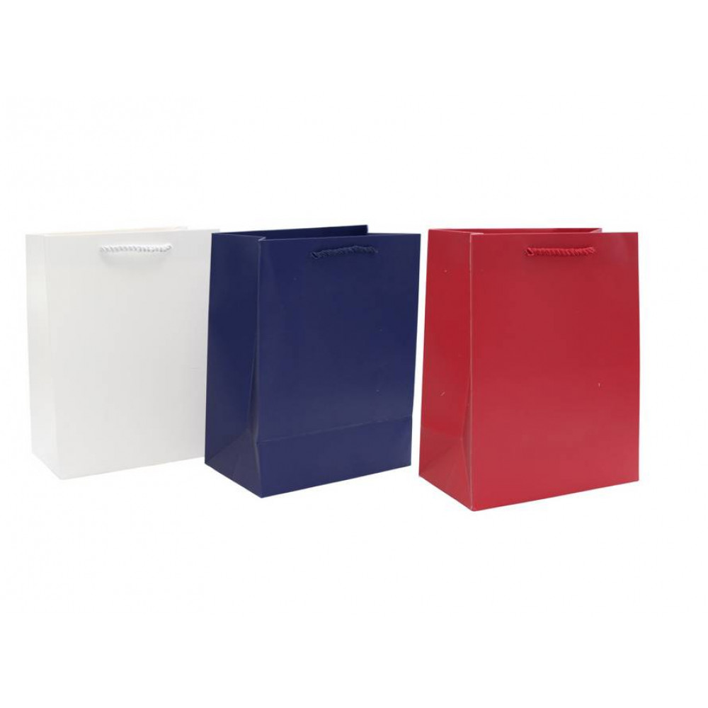 Թղթե նվերի տոպրակ 12հ-ոց 4ձև 4-գույն 31*41*12սմ, ուղղահայաց