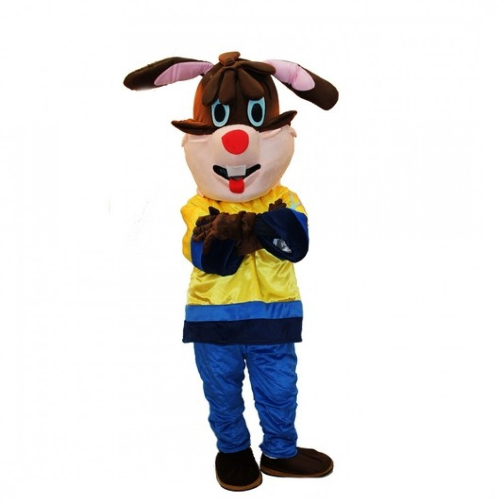 Անիմատորի կոստյում