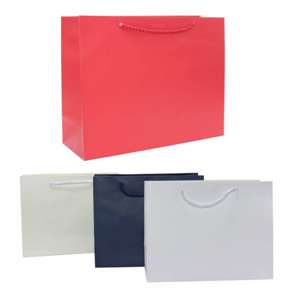 Թղթե նվերի տոպրակ 12հ-ոց 4ձև 4-գույն 23*18*10սմ հորիզոնական